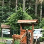 Карпатський біосферний заповідник Рахівщина