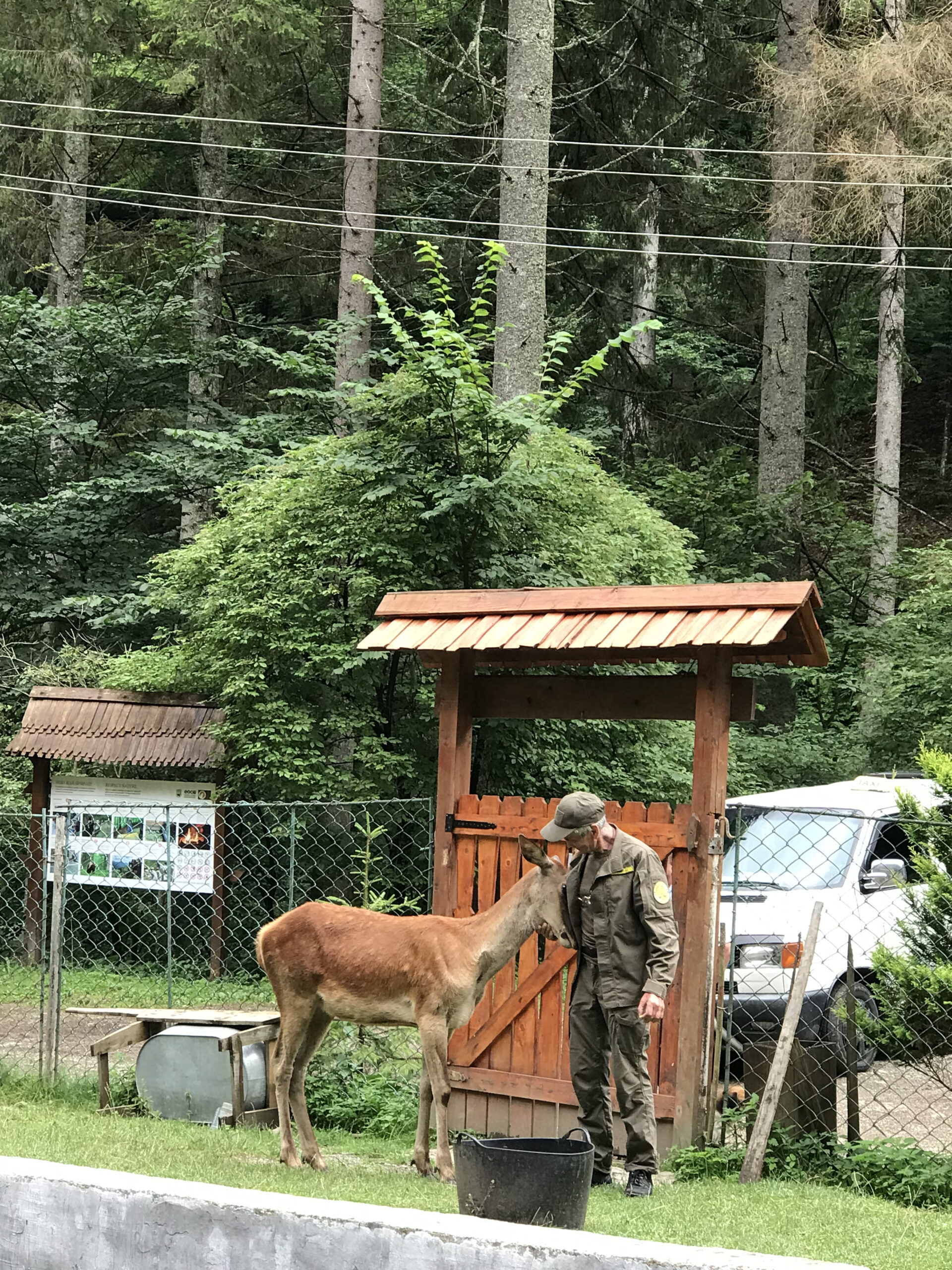 Карпатський біосферний заповідник Рахівщина