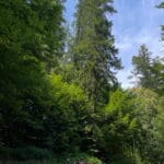 Рахів екскурсії