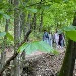 Рахів – гуцульський Париж, Ліс